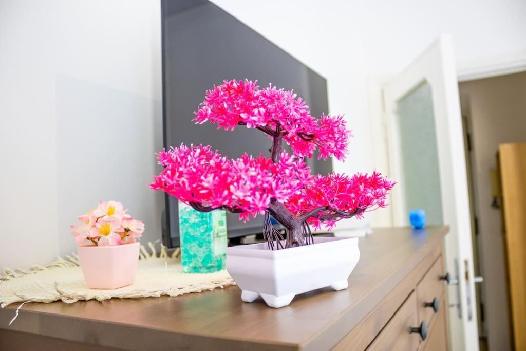 Appartamento Cleverflat, Center And Fiumicino Link